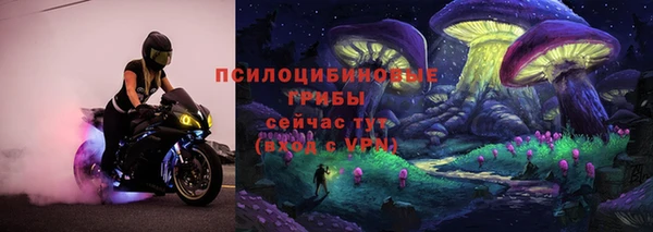 сатива Рославль